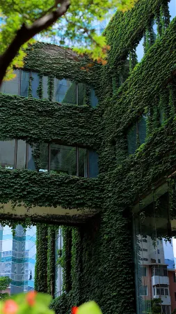 Shangri-La Hotel Dalian