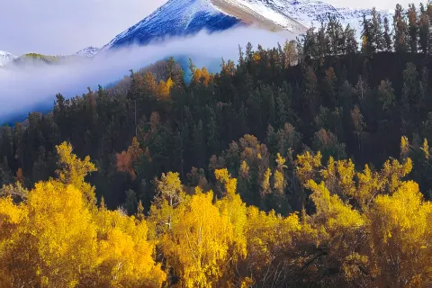 Ta'er Homestay (Baihaba Village Branch)