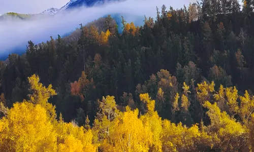 Ta'er Homestay (Baihaba Village Branch)