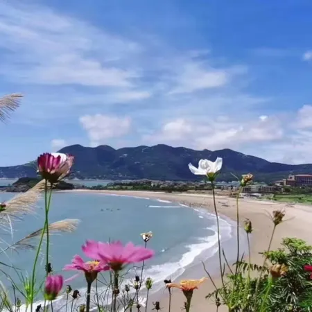 Serene Valley Seaview Villa Vacation Apartment (Zhujiajian Dongsha Scenic Area)