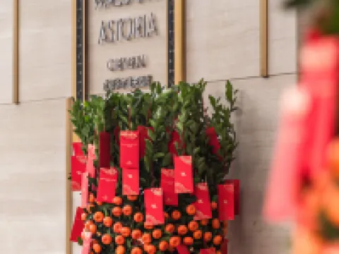 Waldorf Astoria Chengdu Hotels in Chengdu