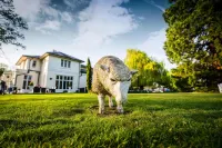 Wrexham Llyndir Hotel by Belvilla - 4-Star