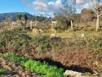 Sandoco House Golf Adventure