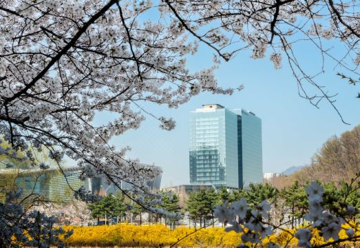 더블트리 바이 힐튼 서울 판교 썸네일