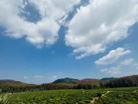 Baisha dayuan Resort Hotel - วิวภูเขา