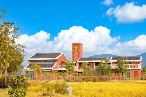 Fenghe Four Seasons Homestay - 新規開業