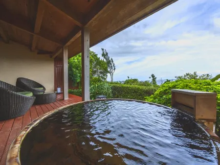 Hamachidorinoyu Kaisyu Отели рядом с Аэропорт Ширахама