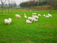 wind Valley Natural Farm