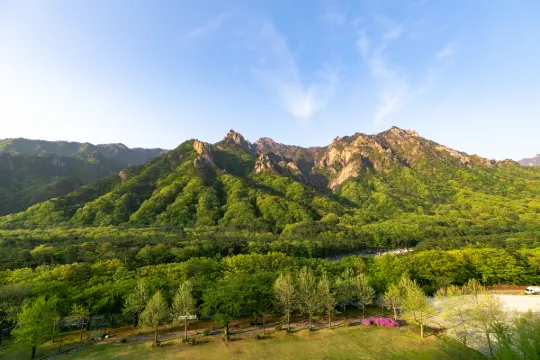 설악산 호텔 추천: 트립닷컴 켄싱턴호텔 설악 예약법