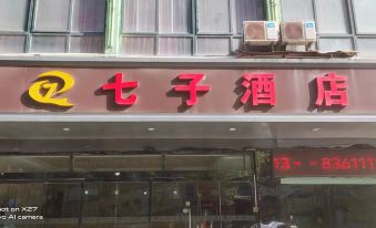 Qizi Hotel (Chaoyang Road)