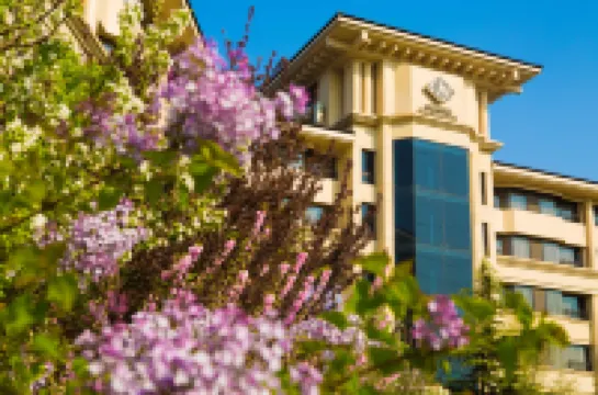 춘 후이 위안 리조트