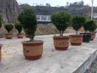 Enshi Yixuan Homestay