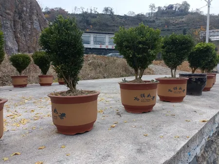 Enshi Yixuan Homestay Отели рядом с достопримечательностью «Yulong Crevice»