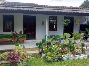 Homestay Wijaya Mulya