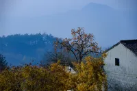 Inflorescence & Floriculture Theme Guesthouse(Yi County Old Town)