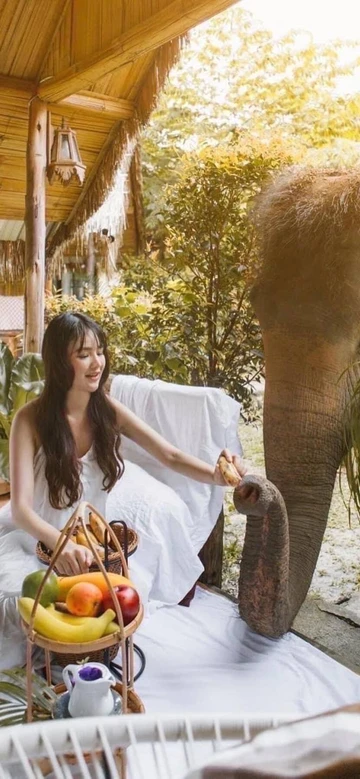 รูปภาพของ3ป๊อกรีสอร์ท แม่วาง จินเซียง