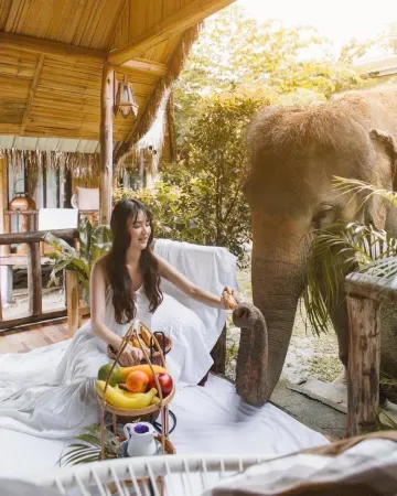 3Pok Resort Maewang Jinxing Отели в г. Mae Wang