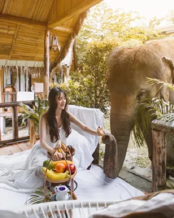 3Pok Resort Maewang Jinxing