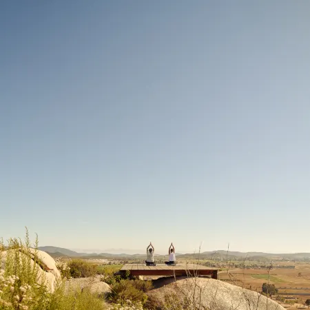 Banyan Tree Veya, Valle de Guadalupe