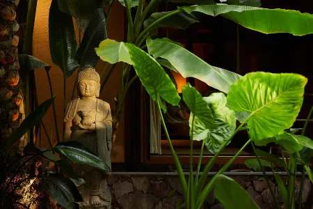 Taimiao soothing spa Rainforest  Hotel Отели рядом с достопримечательностью «Sichuan Post and Telecommunication College»