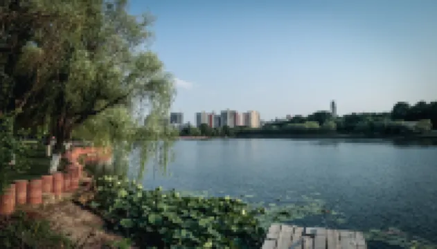 梧桐客棧（南京新街口丹鳳街店）