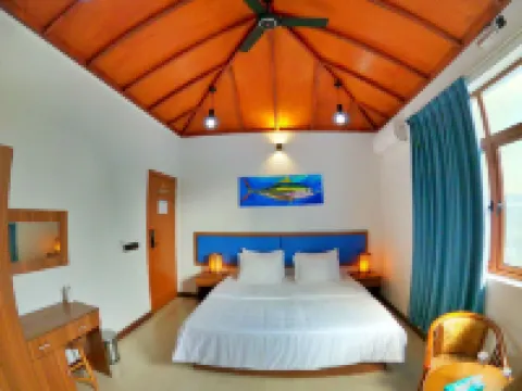 Blue Coral Vashafaru Maldives - internet
