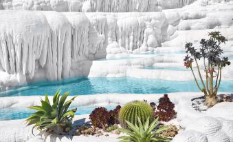 HIHAT Pioneer Art Hotel