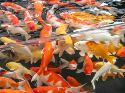 Romantic Season Blue Diamond Hotel (Shenyang Youth Avenue Subway Station