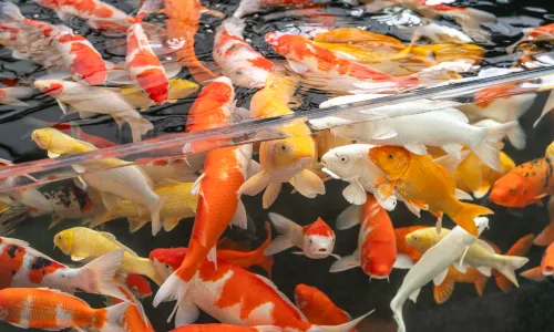 Manji Blue Diamond | ROMANTICSEASONBLUEHOTEL Hotel (Shenyang Youth Avenue Subway Station)