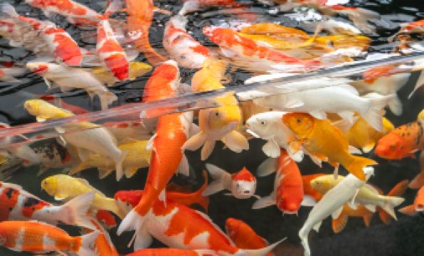 Romantic Season Blue Diamond Hotel (Shenyang Youth Avenue Subway Station