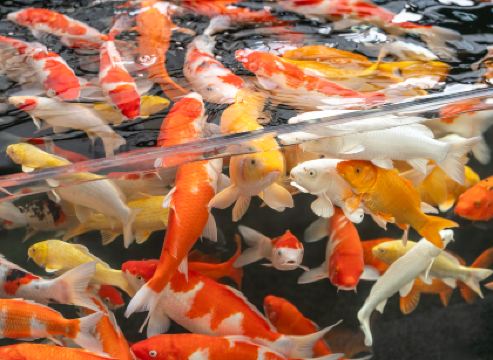 漫季▪藍鑽丨ROMANTICSEASONBLUEHOTEL酒店（瀋陽青年大街地鐵站店）