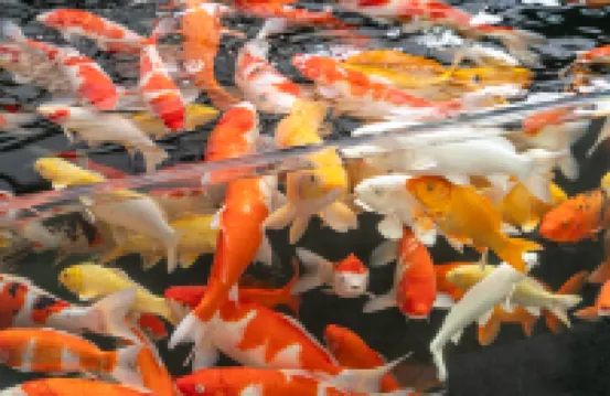 Romantic Season Blue Diamond Hotel (Shenyang Youth Avenue Subway Station Hotels in 