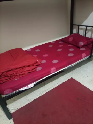 Cuzy haven backpackers