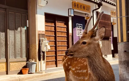 Villa East & West Отели рядом с достопримечательностью «Suzakumon Gate»