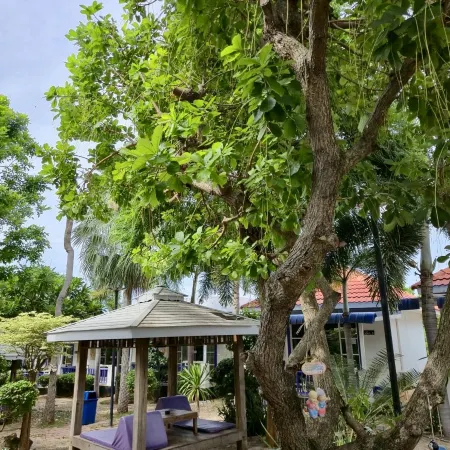 The Light House Resort Kohlarn