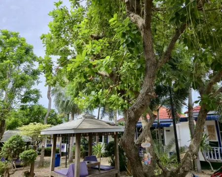 ザ ライト ハウス リゾート - コーラン ラン島のホテル