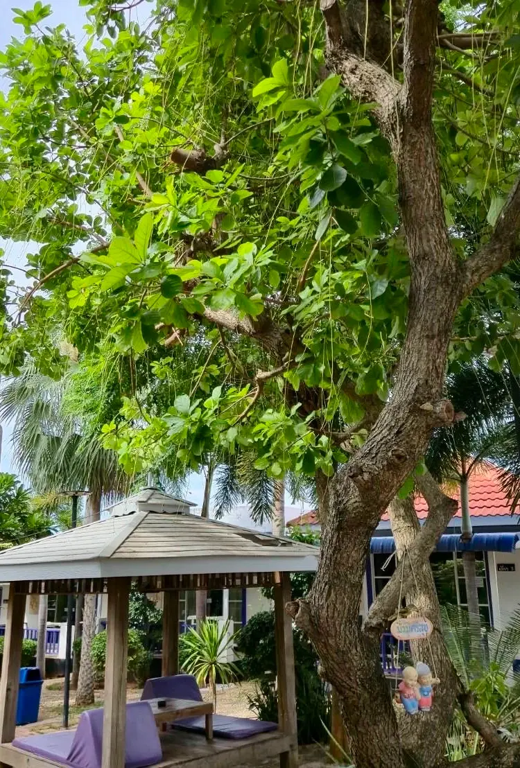 รูปภาพของเดอะไลท์เฮ้าส์รีสอร์ท เกาะล้าน