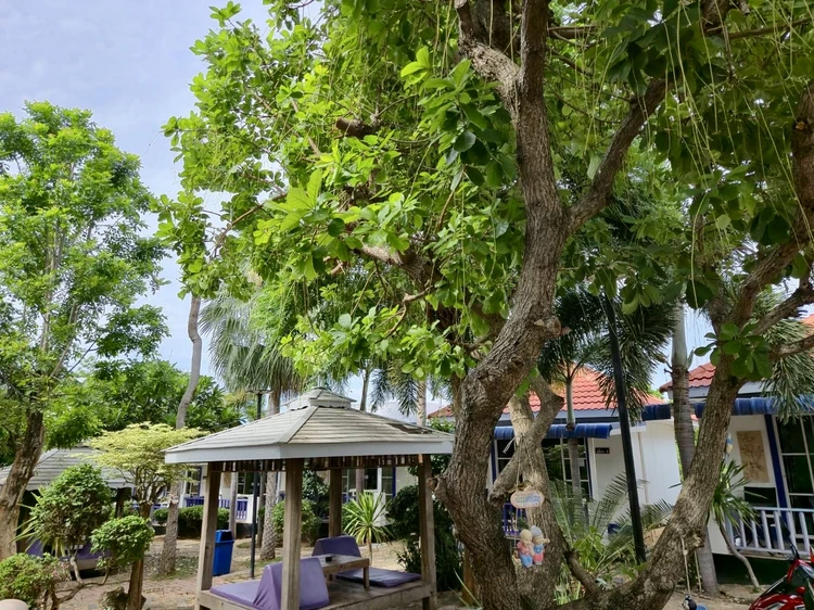 รูปภาพของเดอะไลท์เฮ้าส์รีสอร์ท เกาะล้าน