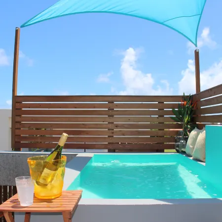 Ocean Palm Villa Ishigaki