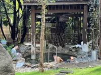 Putuoquan Hot Spring Resort - Hot Springs