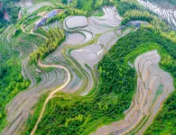 Terra Cave Lodge (Taoyuan) Hotels in Suichuan