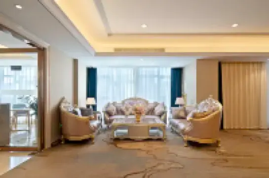 Vienna International Hotel (Yingtan Xinjiang New District Fangte Branch)