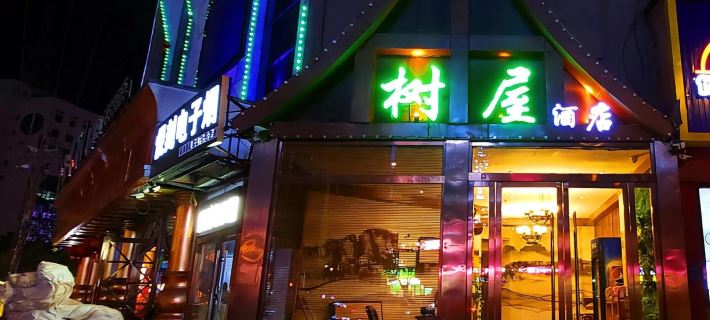 Linquan Shuwu Hotel Hotels in Linquan
