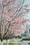 グランニューセンチュリーホテル 寧波 - カップル