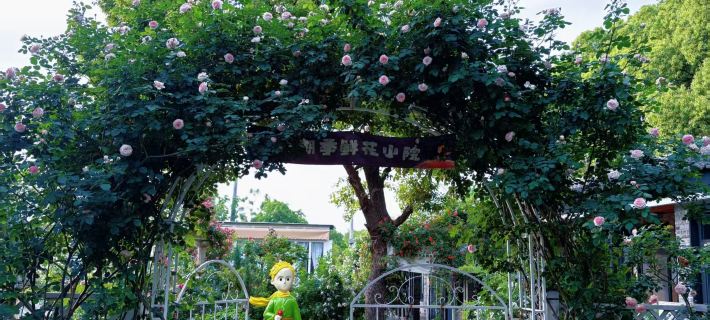 Feidong Huachaoji Flower Courtyard Homestay Hotels in Feidong