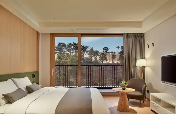 扶余樂天度假村