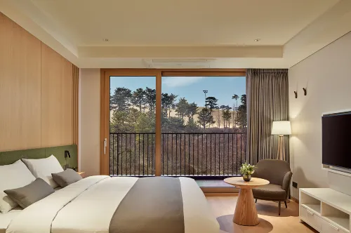 Lotte Buyeo Resort - Интернет