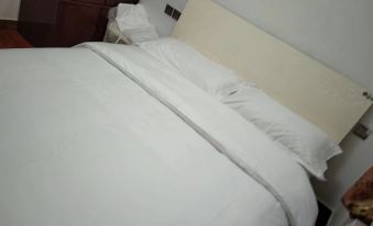 Lezhi Chuanchi Homestay (Longcheng Mansion)