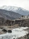 Siguniang Mountain Yangwangxingkong Snow Mountain Hotel[The best spot to view snow-capped mountains] - Gym