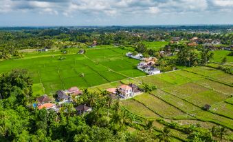 Tembaga Villa by EVDEkimi-Designer villa with Pool and Breathtaking Rice field View-Long stay extra